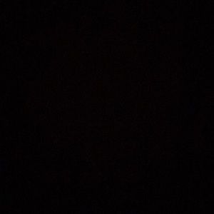 Meet your Posher, Randi